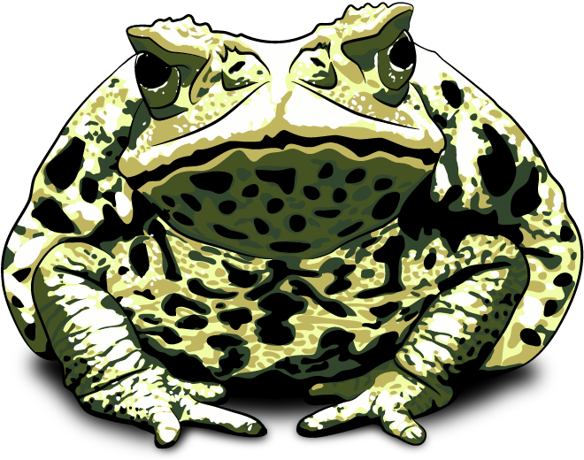 whytoad